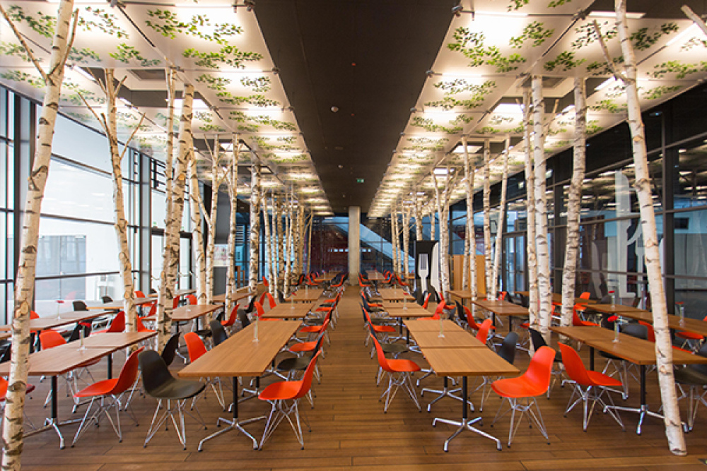 Blick ins Restaurant Verdino
